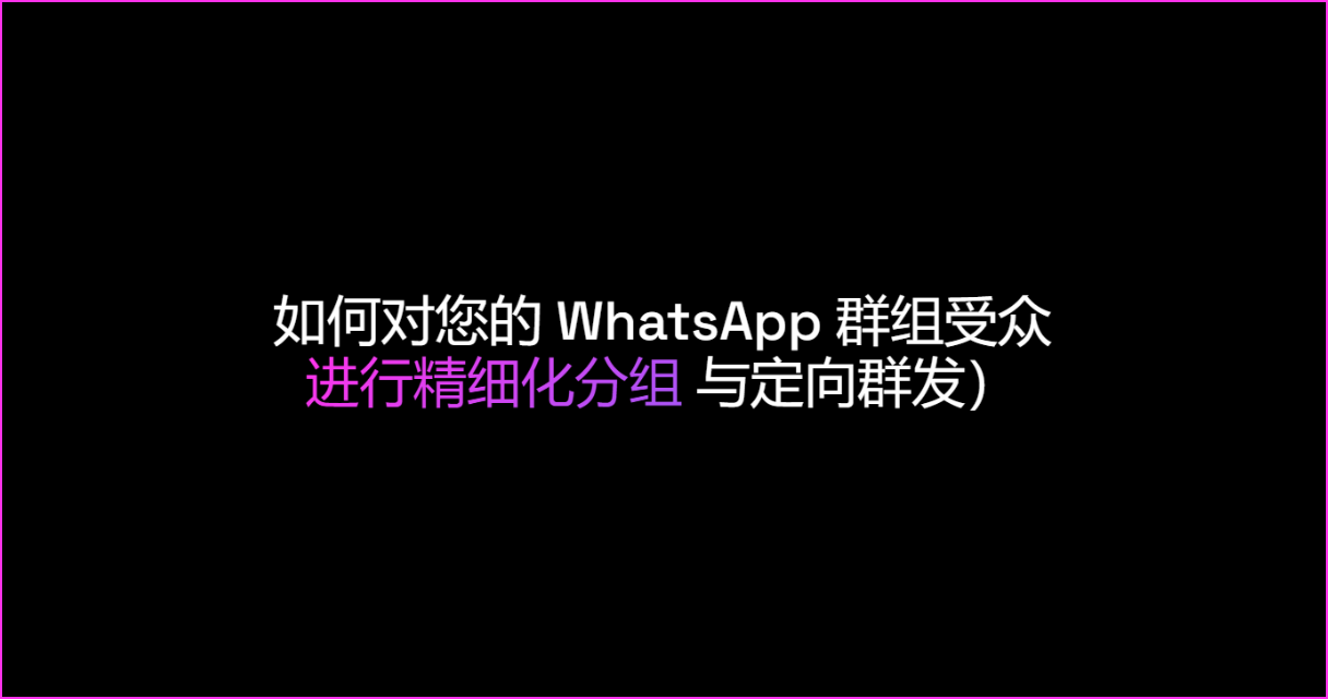 如何对您的 WhatsApp 群组受众进行精细化分组与定向群发