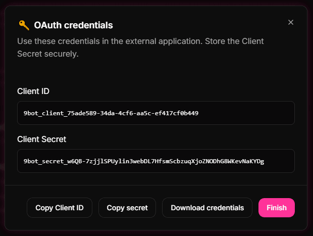 Second screen in English for configuring an MCP application in 9bot